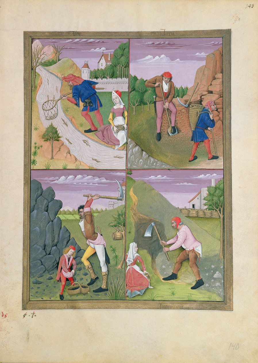 Illustration från boken av enkla mediciner av Mattheaus Platearius 143r av Robinet Testard