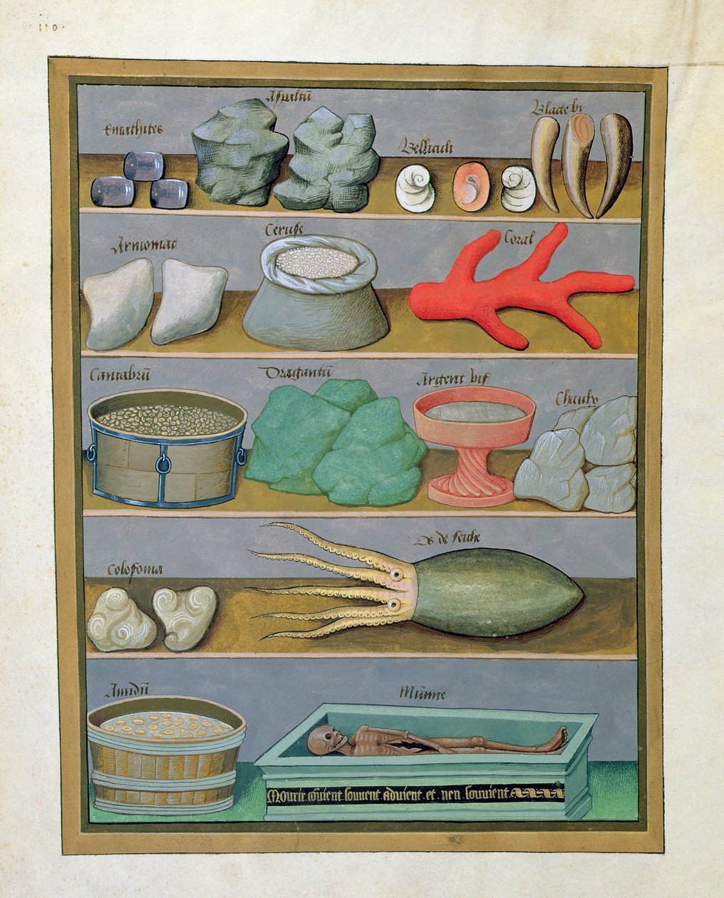 Illustration från boken av enkla mediciner av Mattheaus Platearius 166v av Robinet Testard