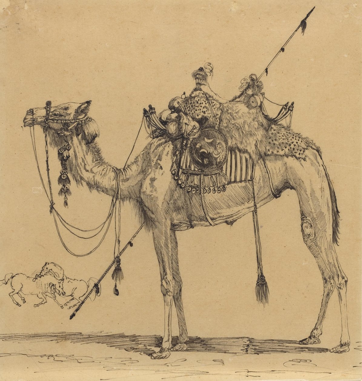 The Camel (penna och bläck) av Rodolphe Bresdin