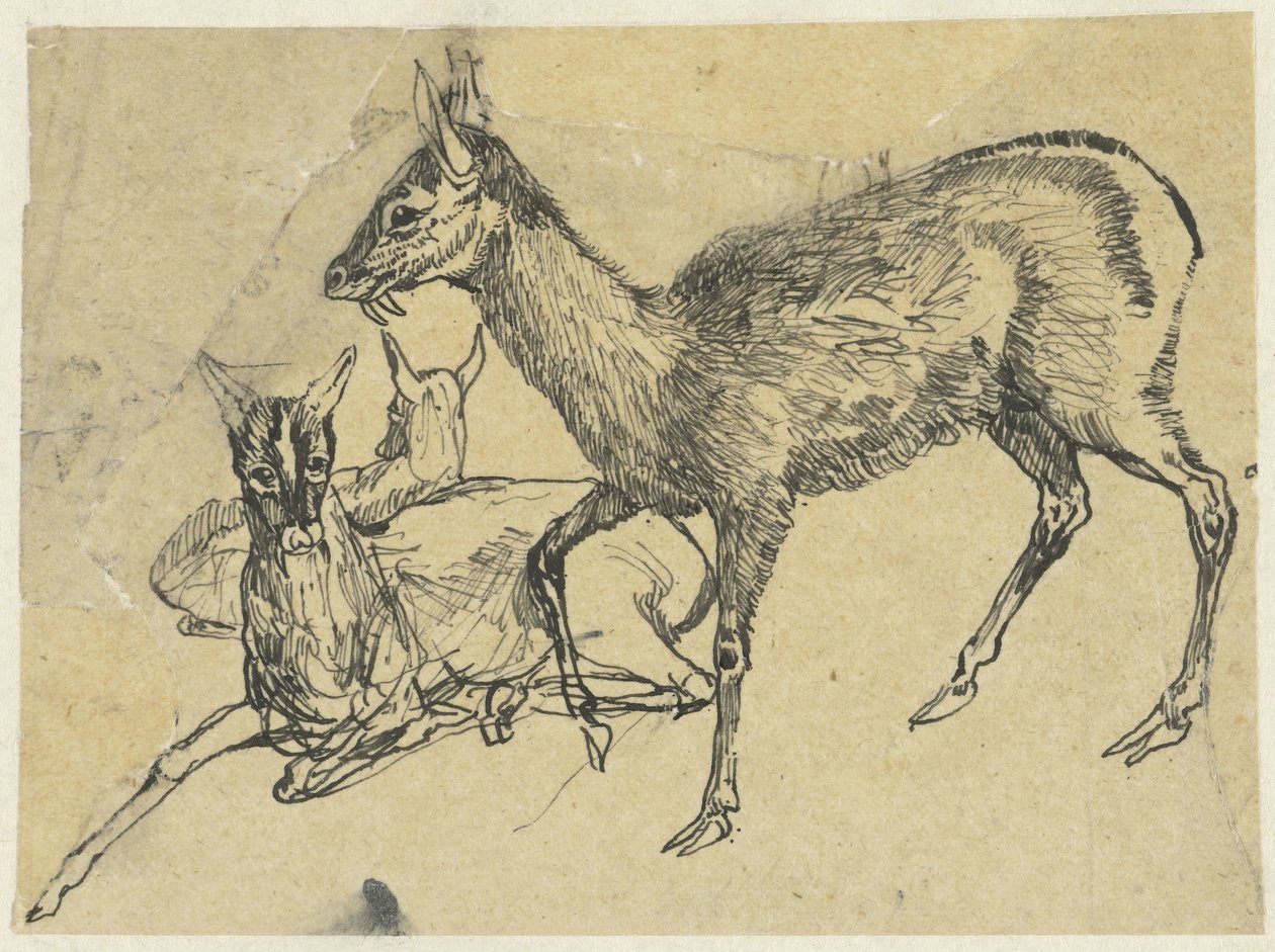 Tre rådjur av Rodolphe Bresdin