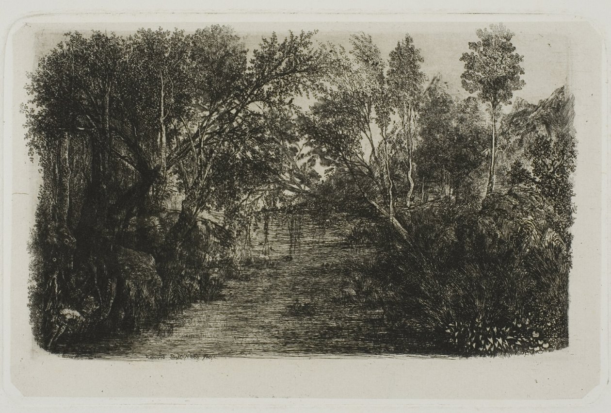 Bäcken av Rodolphe Bresdin