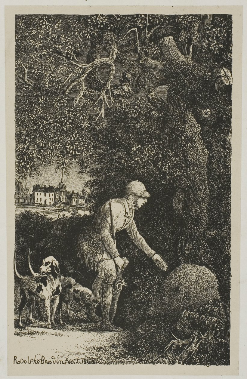 Diplomaten och myrstacken, illustration för fabler och berättelser av Hippolyte de Thierry-Faletans av Rodolphe Bresdin