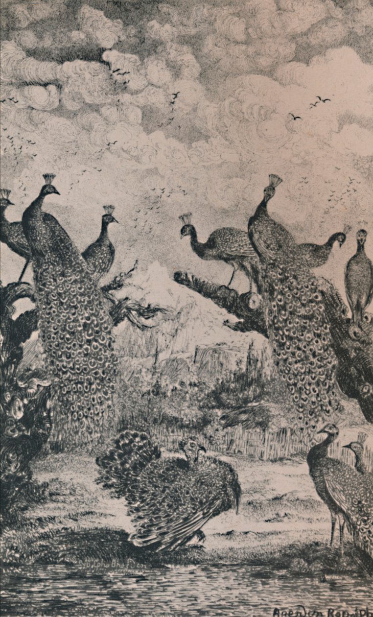 Påfåglarna, 1869, 1946 av Rodolphe Bresdin