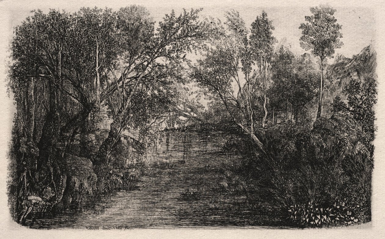 Strömmen, 1880. av Rodolphe Bresdin