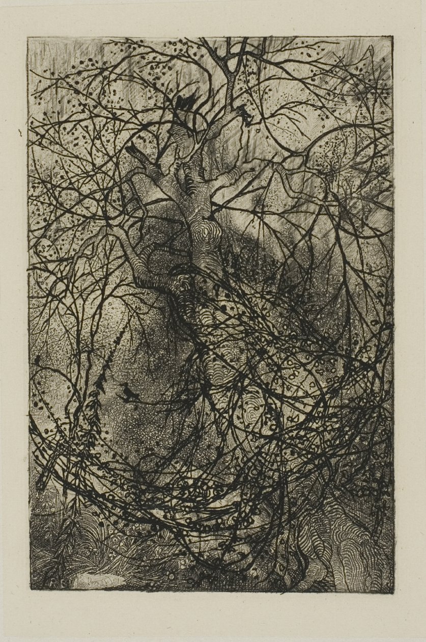 Trädgrenar av Rodolphe Bresdin