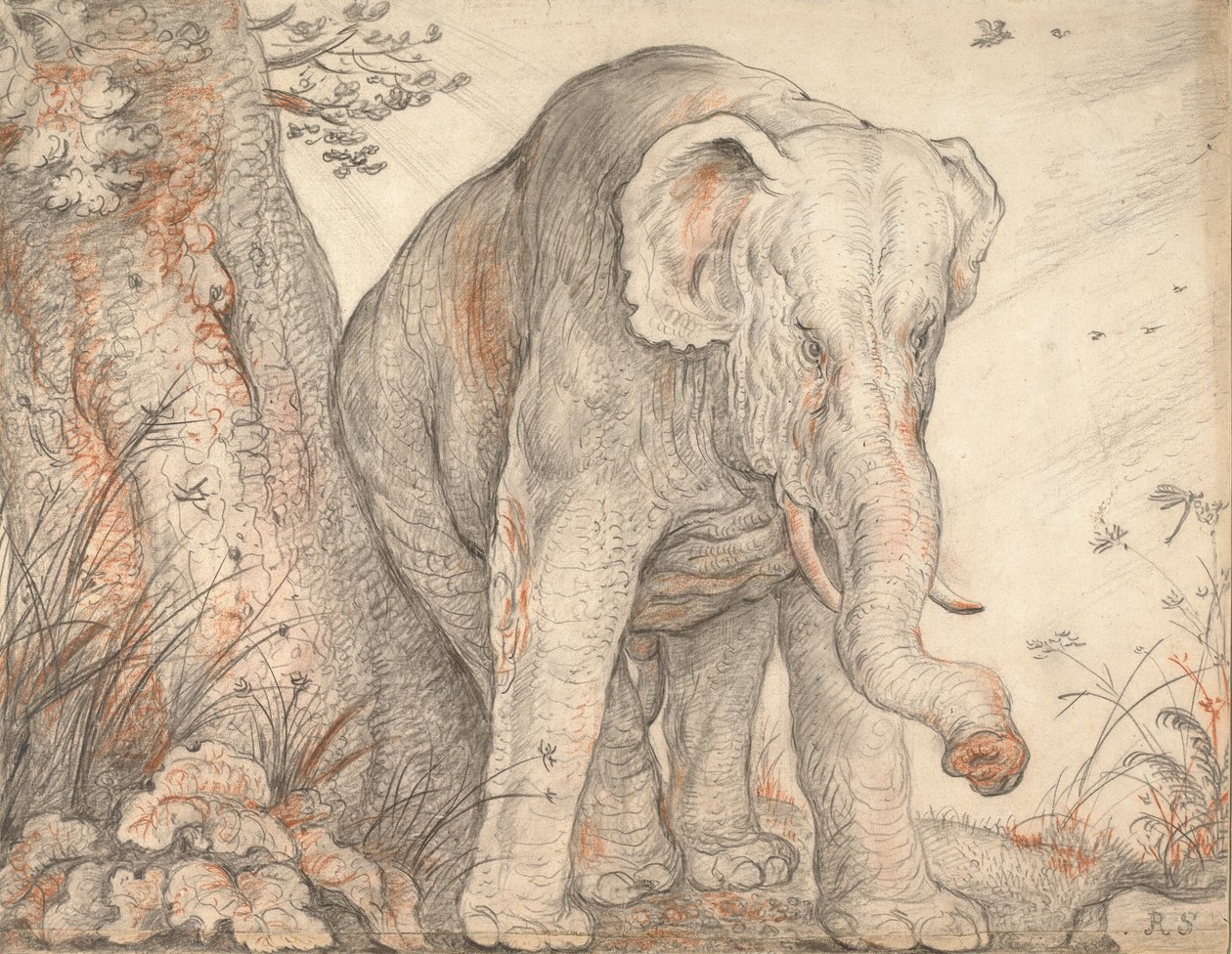 An Elephant Rubbing Itself against a Tree, c. 1608-1612 av Roelant Saverij