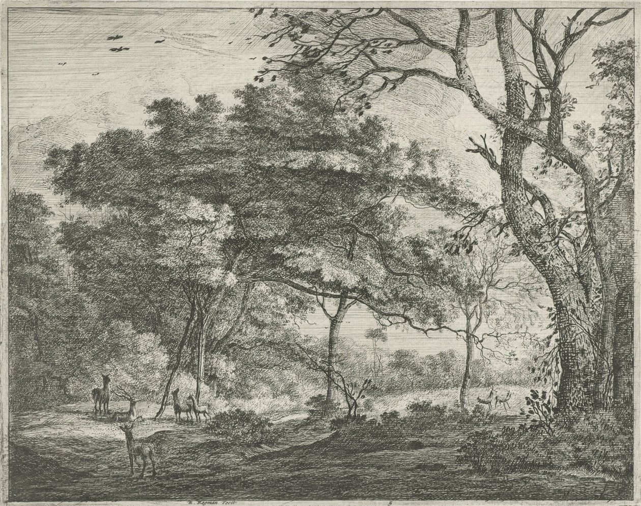 Rådjur i Haagskogen av Roelant Roghman