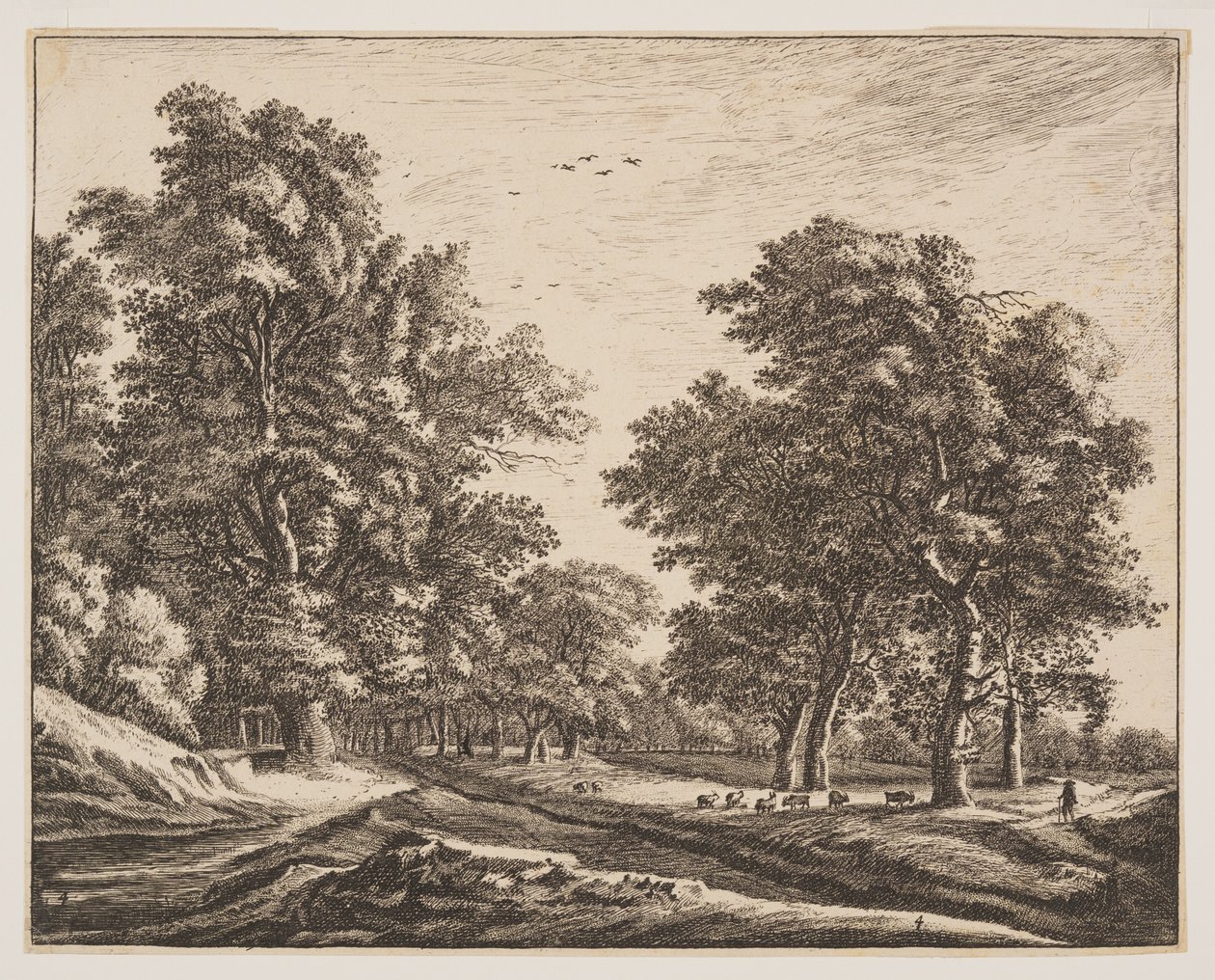 Nr 4, från Sex vyer i skogen i Haag av Roelant Roghman