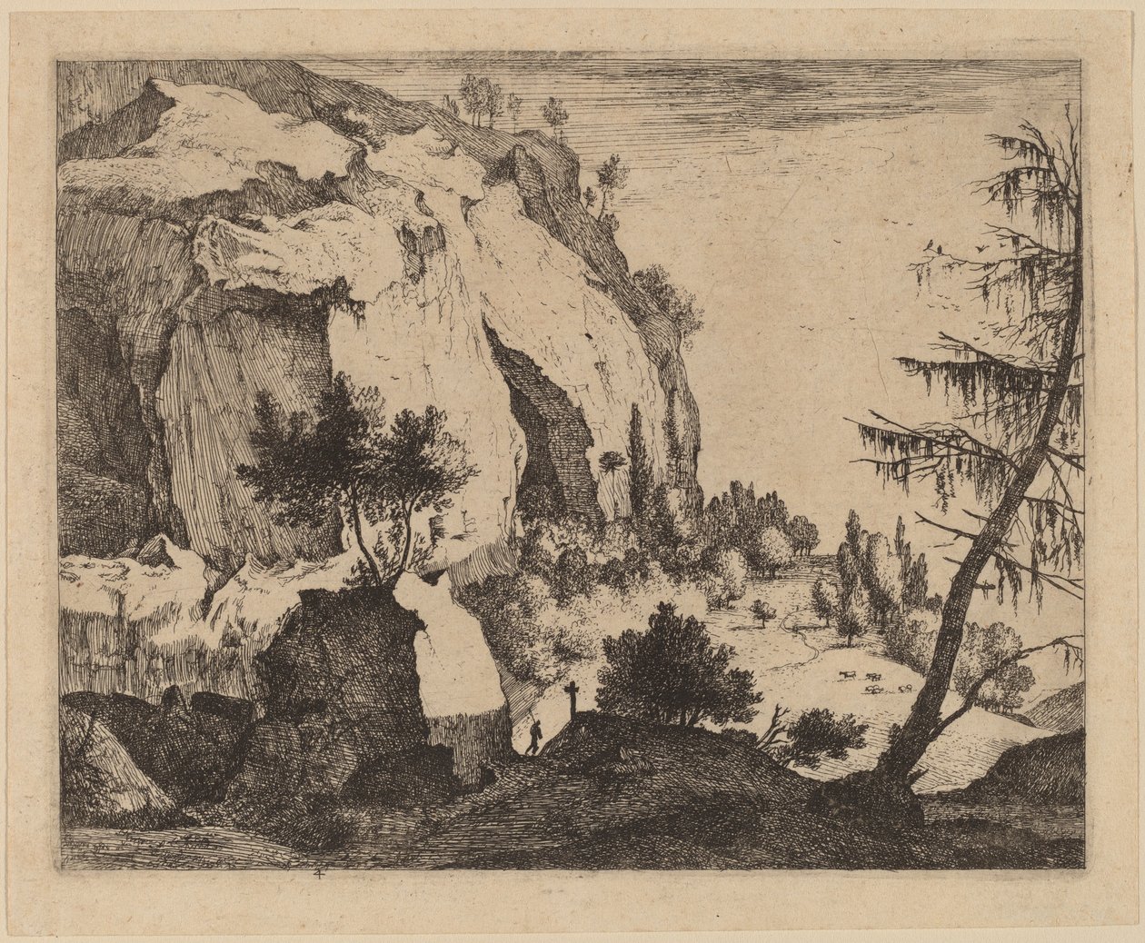 Stenigt landskap med gran: pl.4 av Roelant Roghman and Melchior Küsel