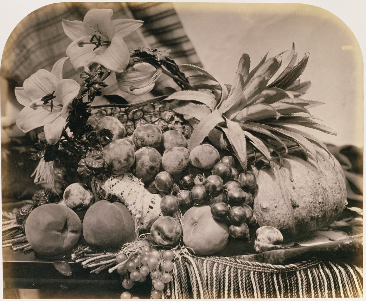 Fruktstilleben, 1860 (sepiafoto) av Roger Fenton