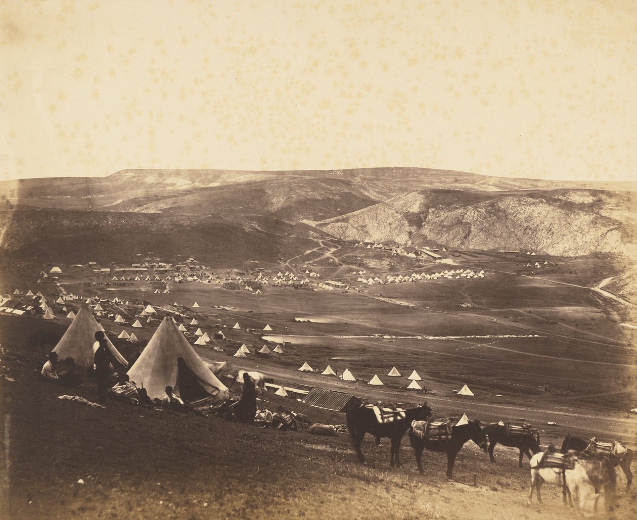 Kavalleriläger, Balaklava av Roger Fenton
