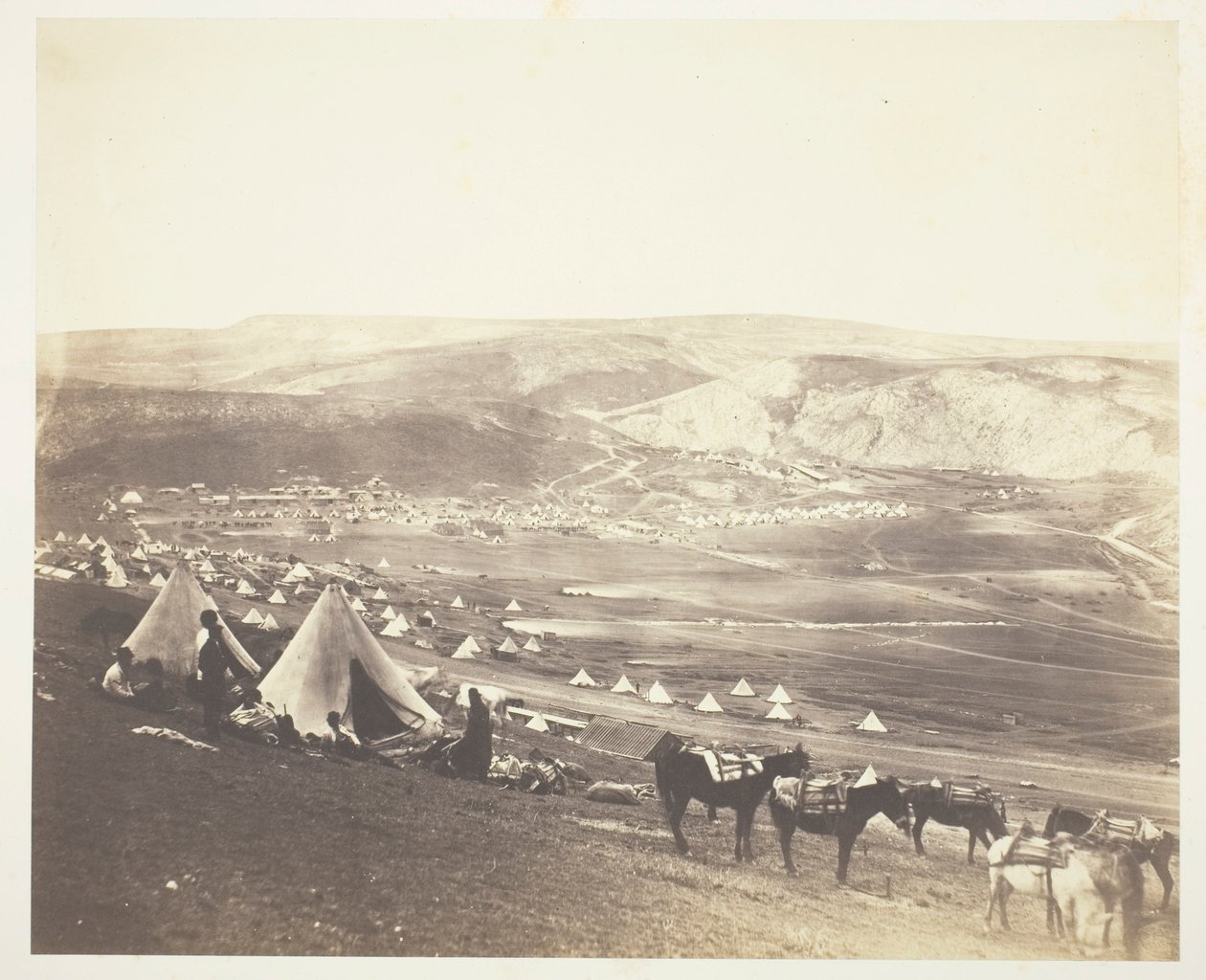 Kavalleriläger, Balaklava av Roger Fenton