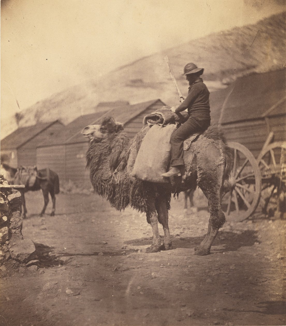 [Man som rider på en kamel] av Roger Fenton