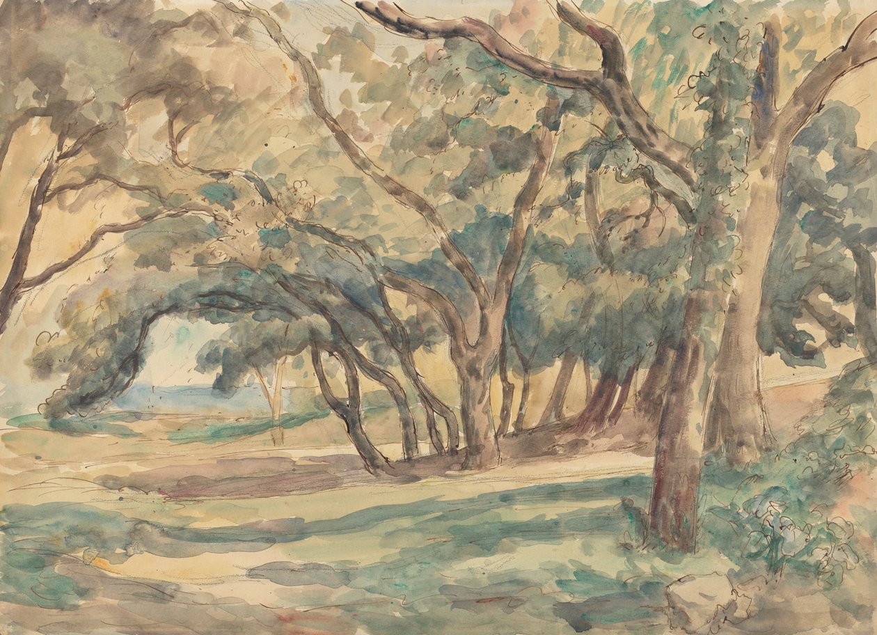 Skogbevuxen glänta nära St. Tropez av Roger Fry