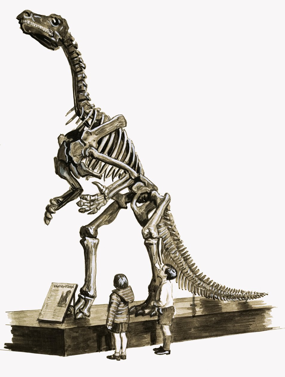 I dinosauriernas dagar: Ett hundra miljoner år gammalt mysterium av Roger Payne