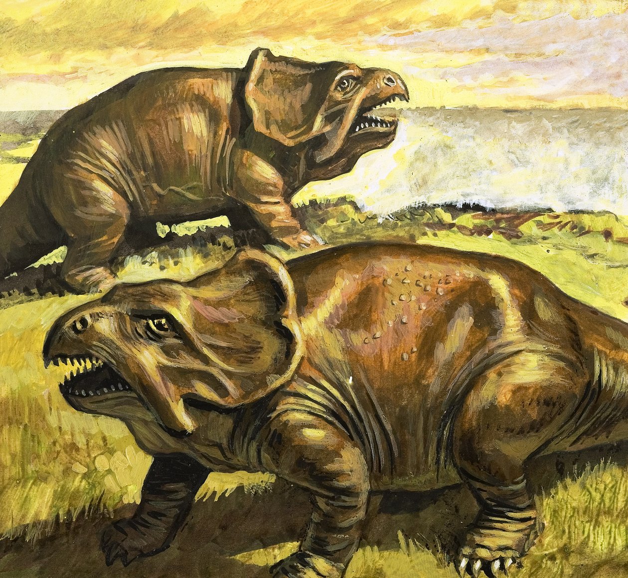 Protoceratops, illustration från "I dinosauriernas dagar, upptäckt i öknen av Roger Payne