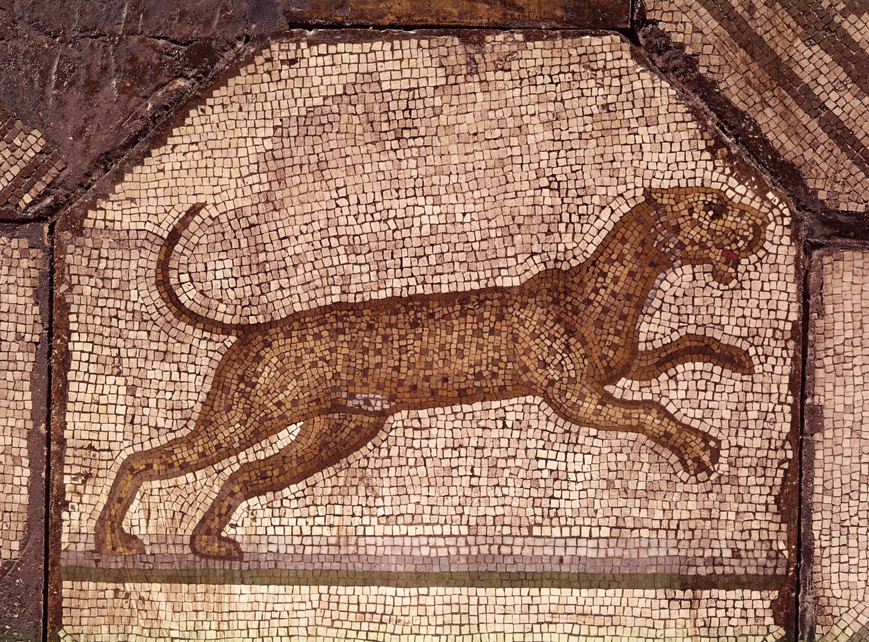 En leopard, detalj från Orfeus som charmar djuren (mosaik) av Roman