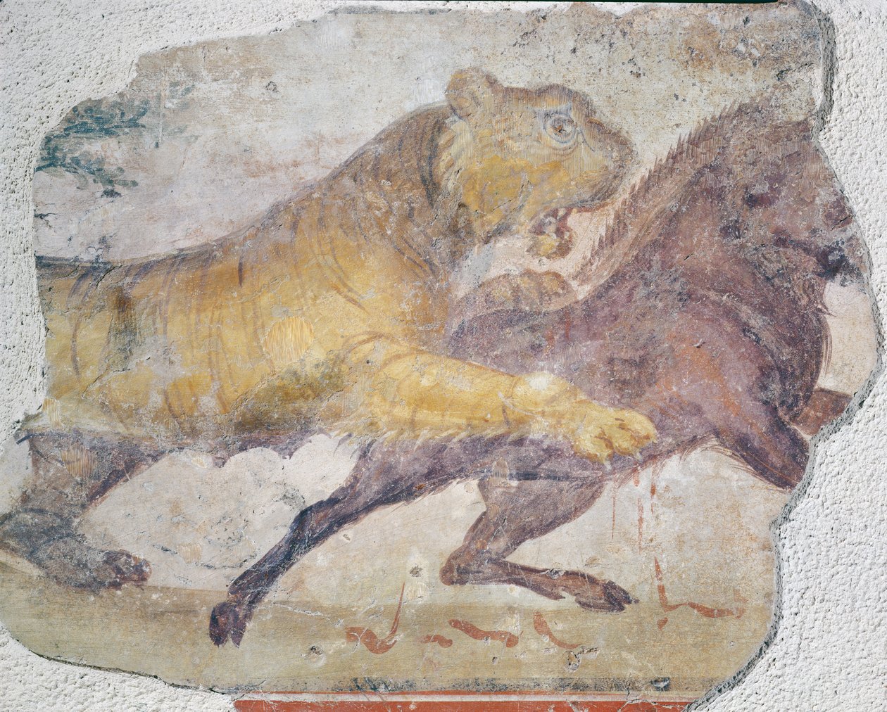 En tiger attackerar ett vildsvin, från Amfiteatern i Merida. av Roman
