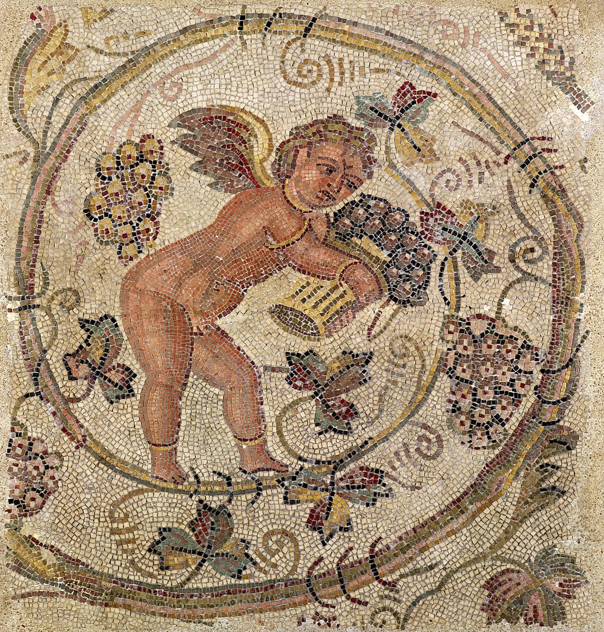 En amor som plockar druvor, fragment av trottoar från Kartago, Tunisien (mosaik) av Roman