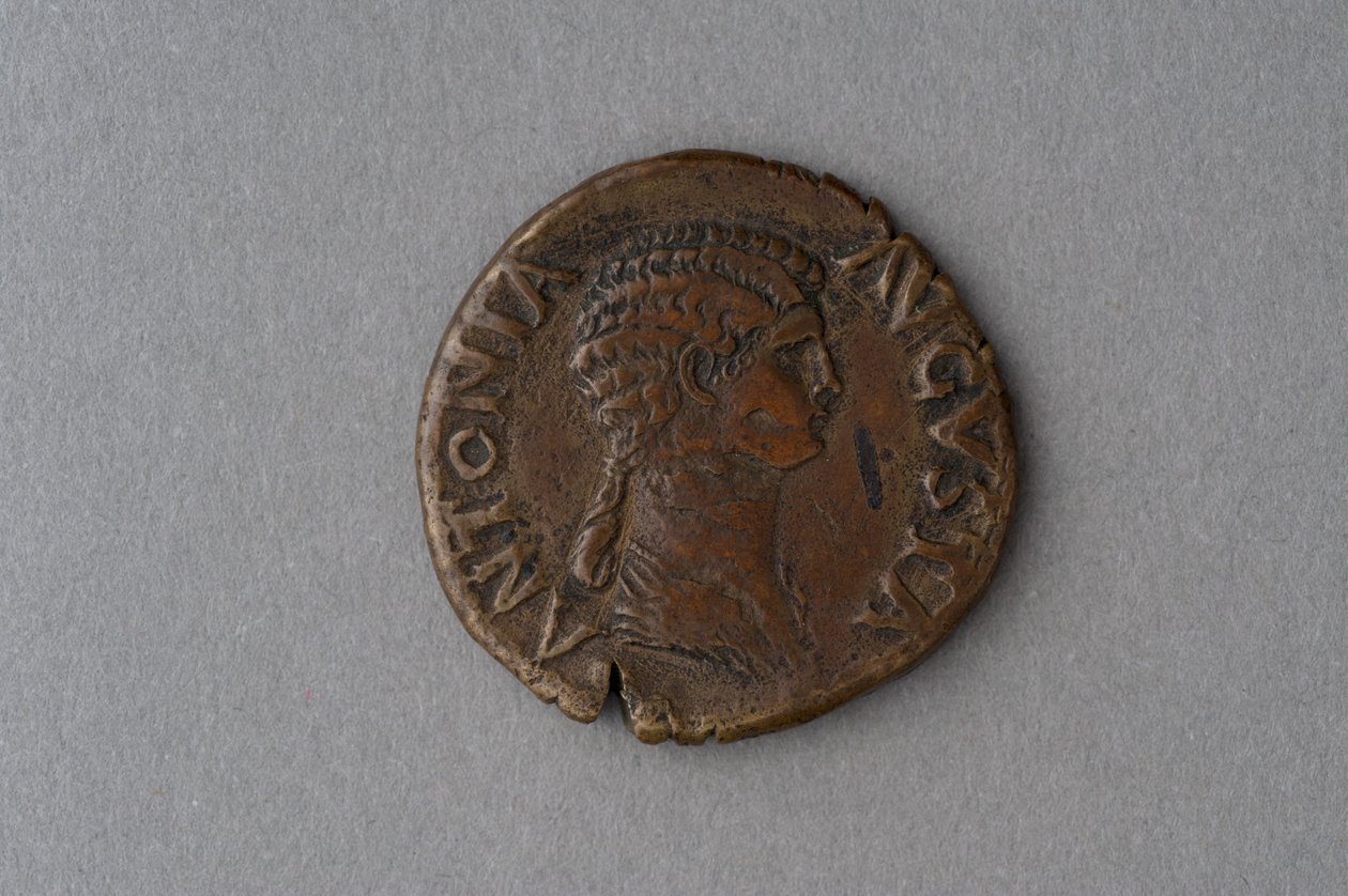 Som mynt av Antonia (brons) av Roman
