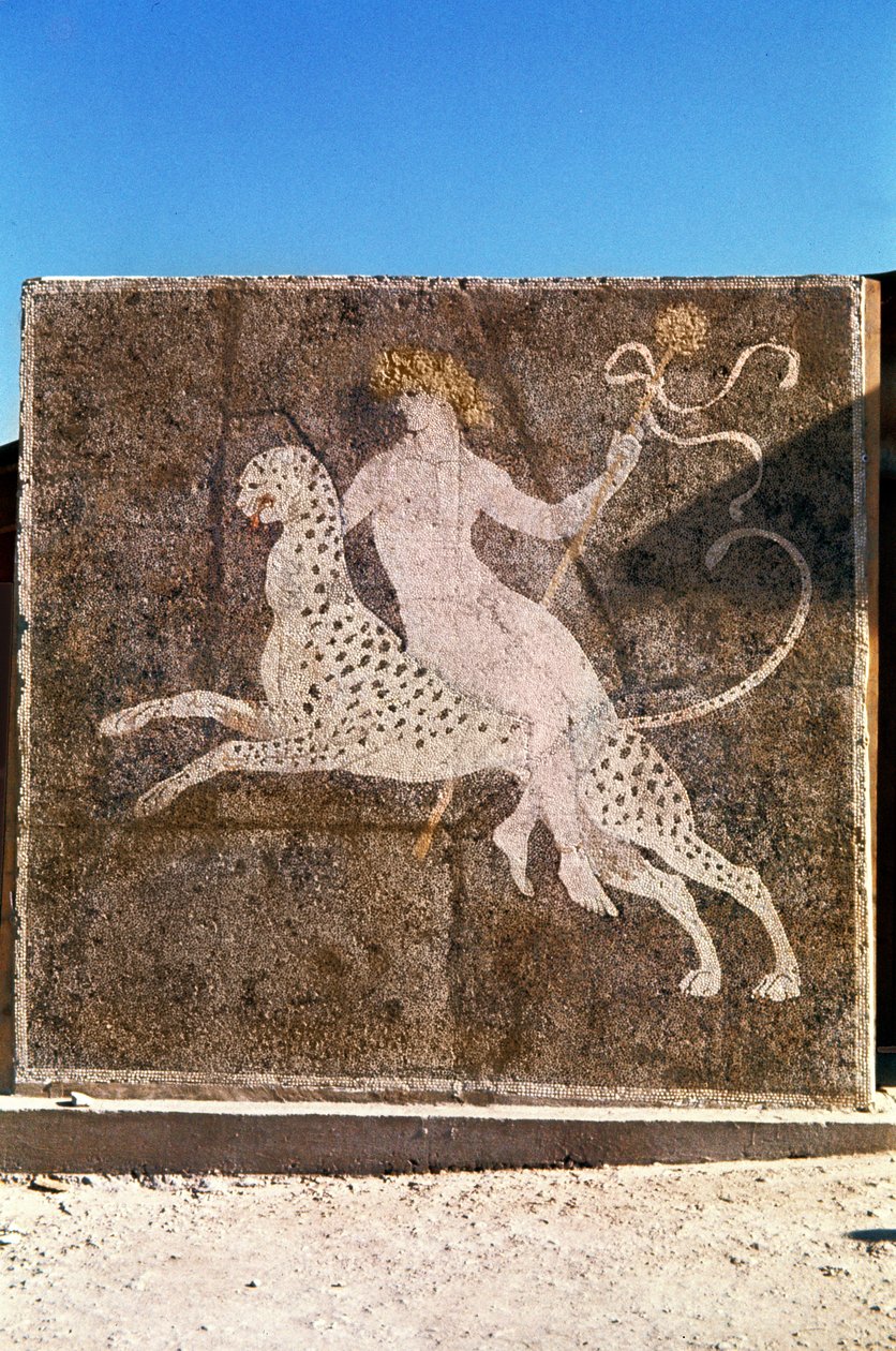 Bacchus rider på en leopard, 1:a-2:a århundradet e.Kr. (mosaik) av Roman