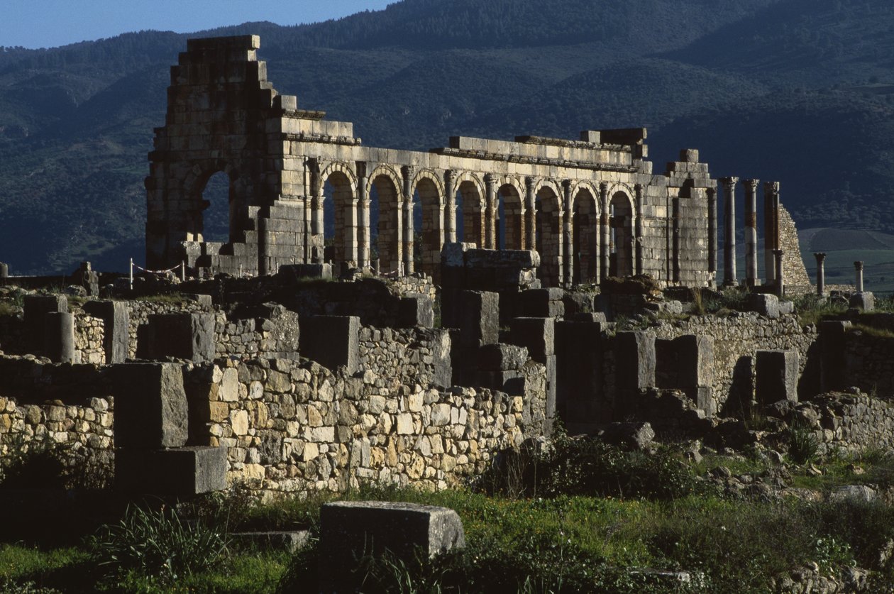 Basilikan, 217 e.Kr av Roman