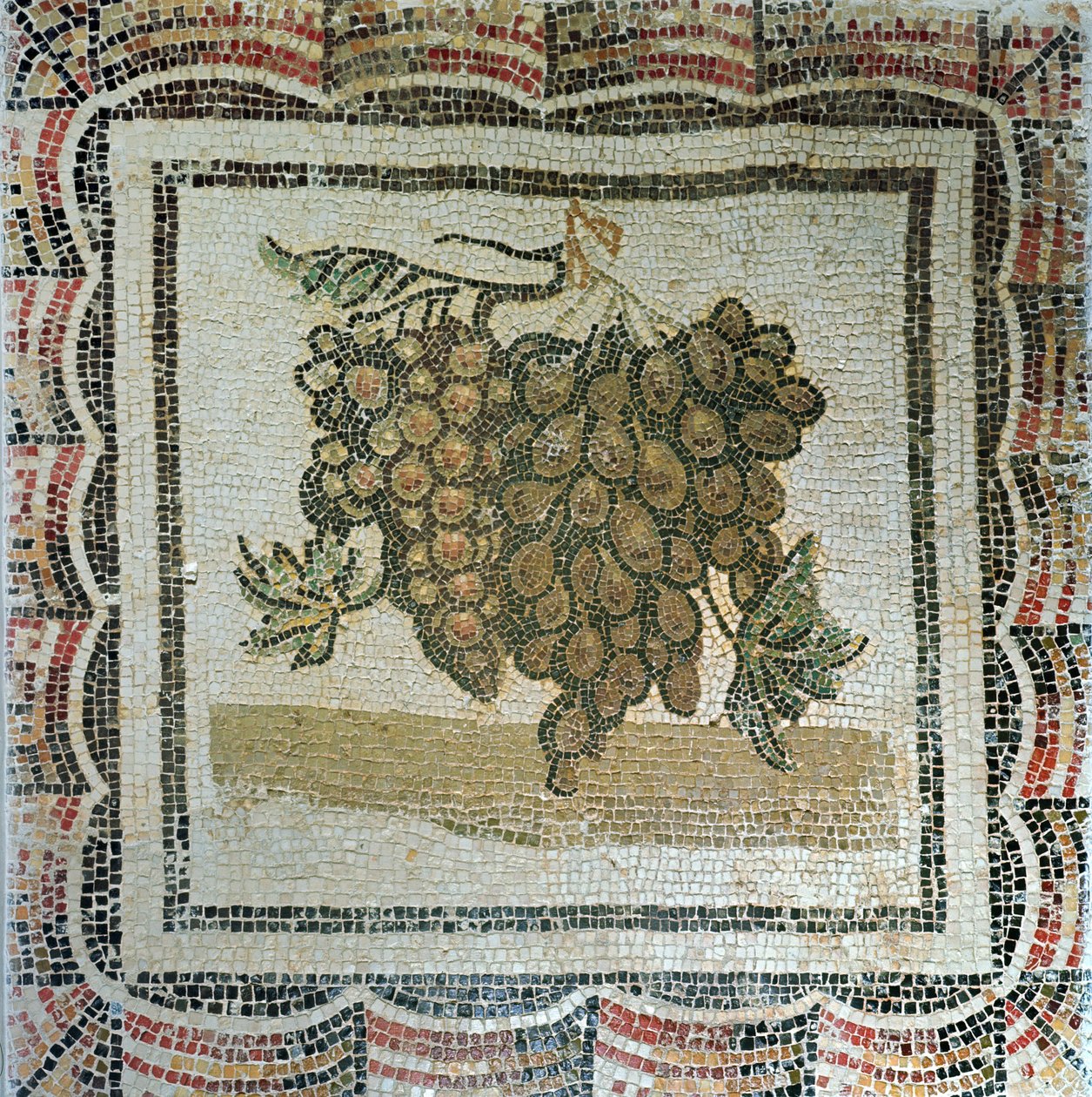 Klasa vita druvor, romersk mosaik (mosaik) av Roman