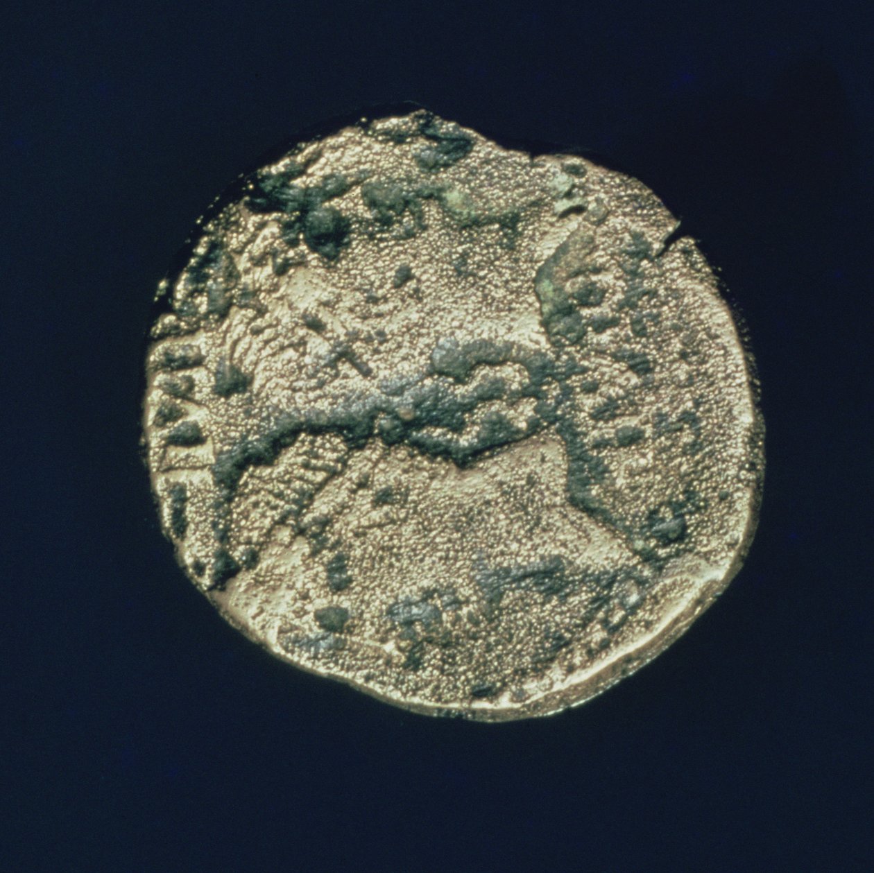 Mynt med huvuden av Julius Caesar (101-44 f.Kr.) och Augustus (63-14 f.Kr.) (brons) av Roman
