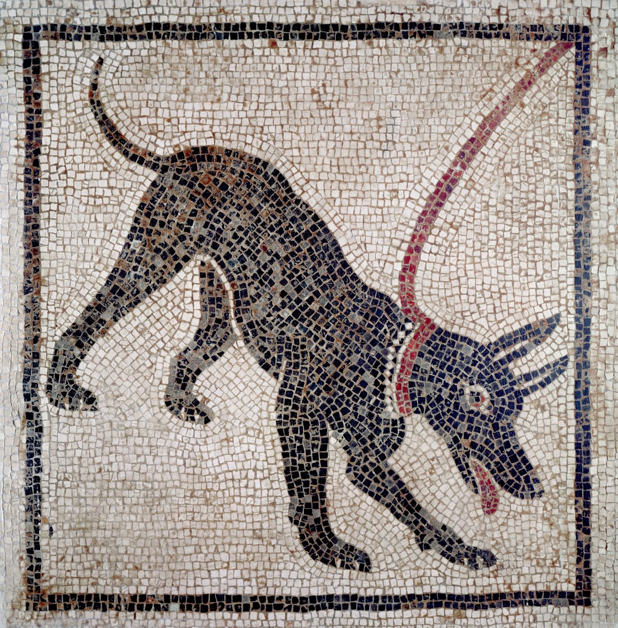 Hund i koppel, från Pompeji (mosaik) av Roman