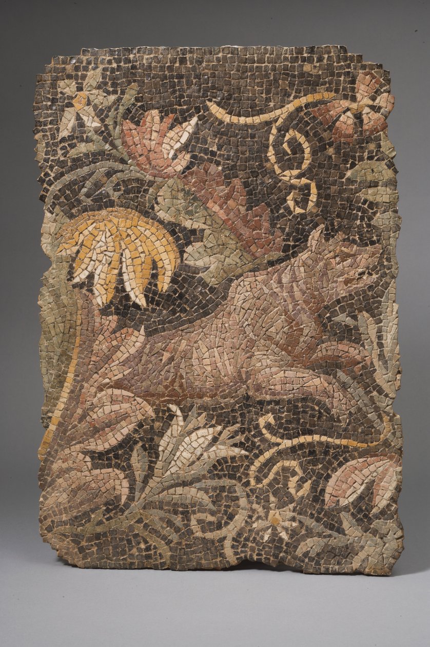 Fragment av en mosaik som föreställer en varg (mosaik) av Roman
