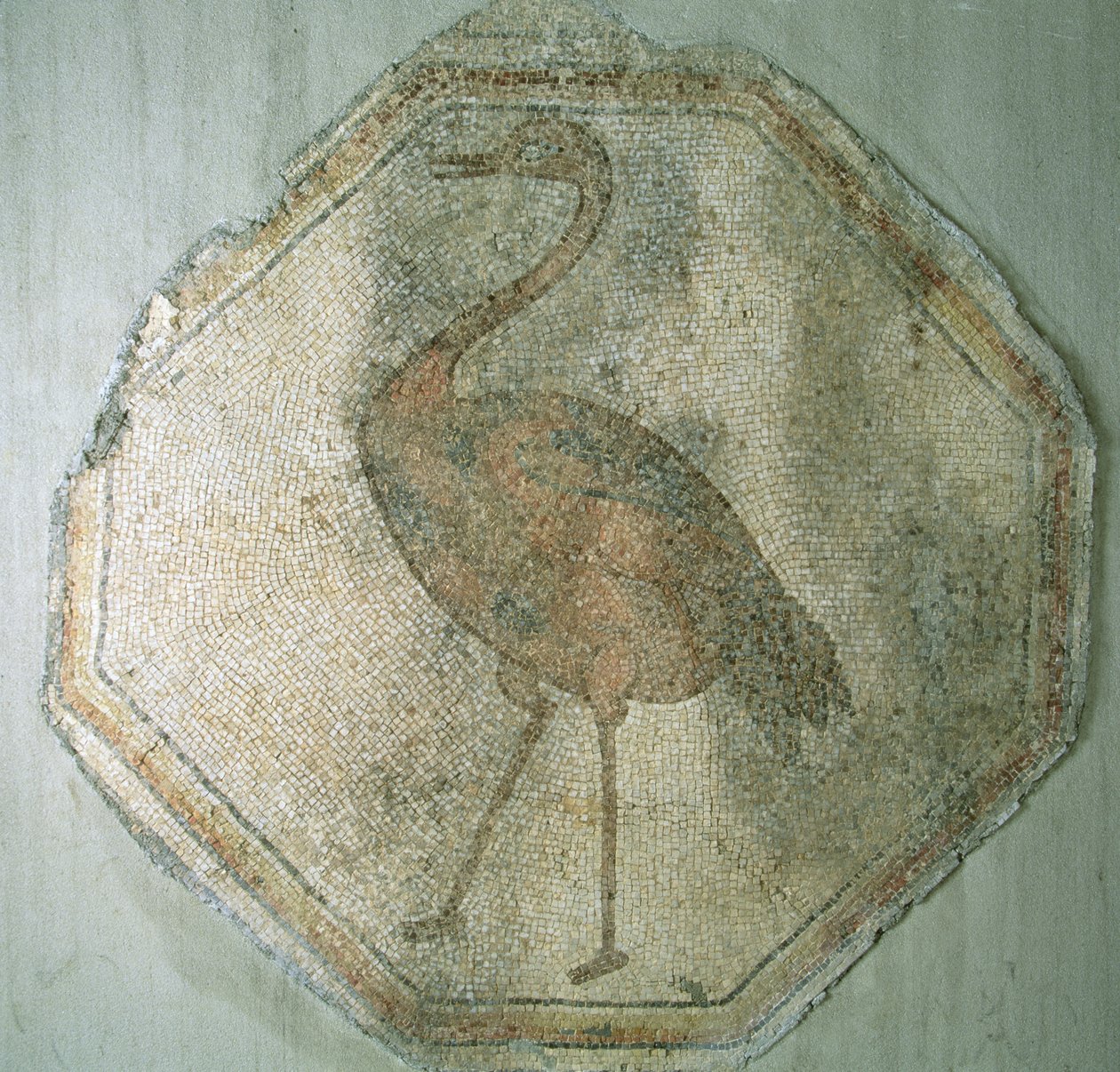 Mosaik föreställande en struts, från Salkim, Turkiet. av Roman