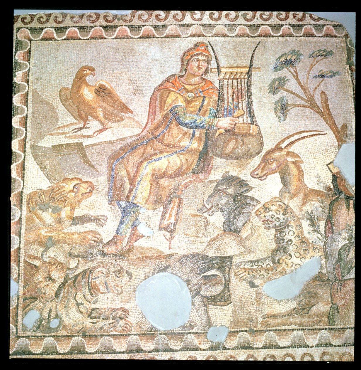 Orfeus spelar för djuren, romersk mosaik (mosaik) av Roman