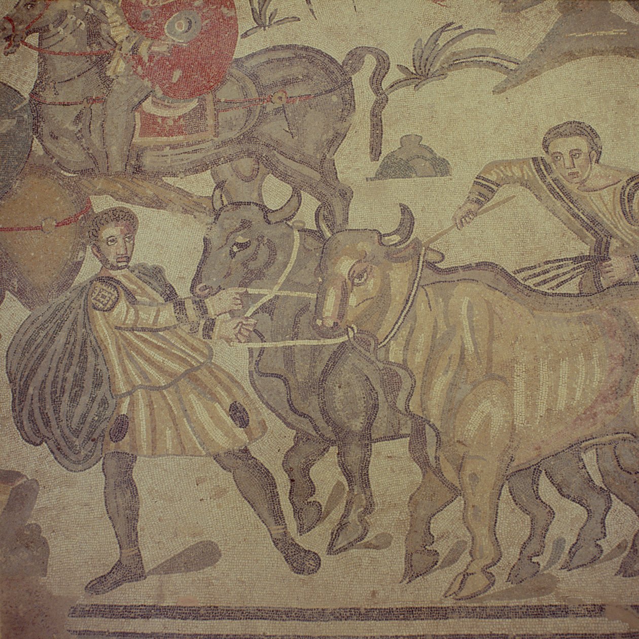Oxar som transporterar vatten, romersk mosaik, tidigt 400-tal (mosaik) av Roman