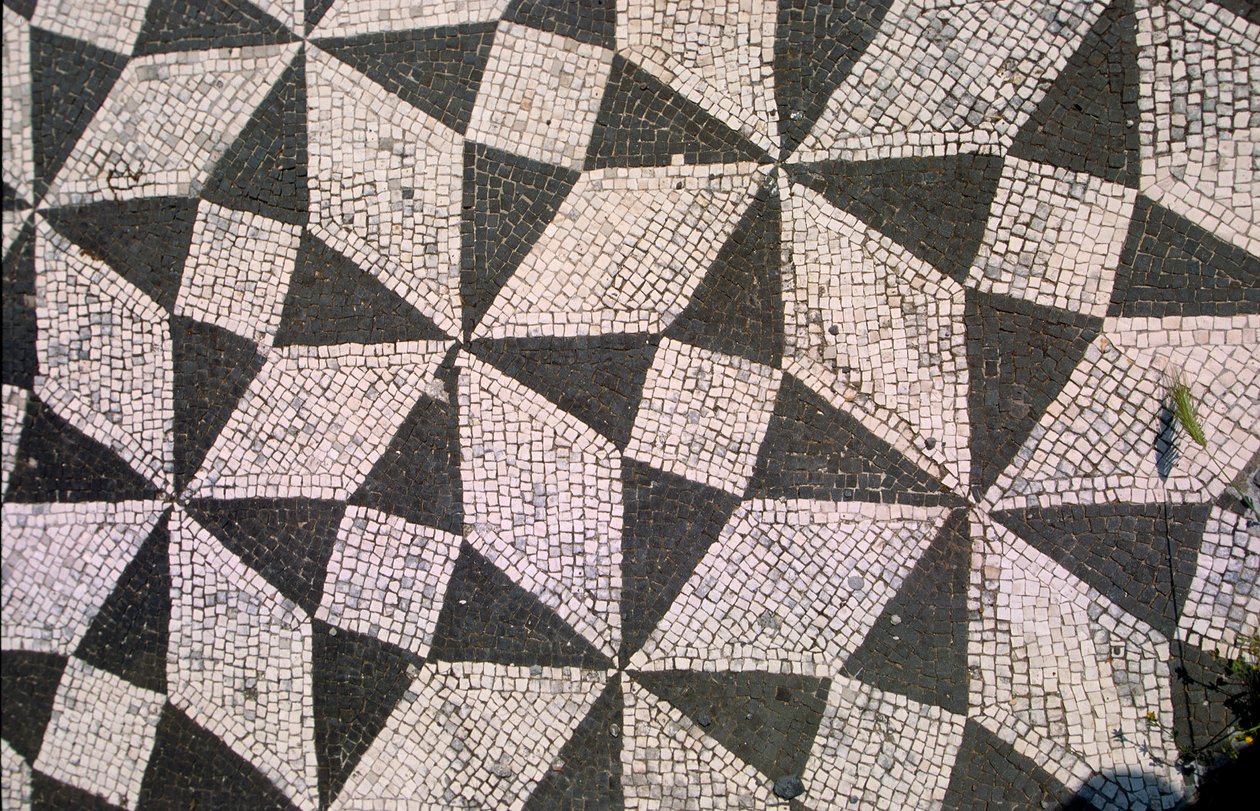 Mönstrat golv (mosaik) av Roman