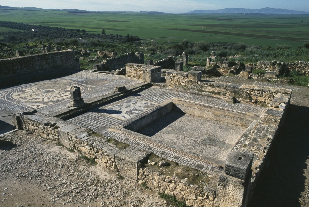 Trottoar av ett patricierhus av Roman