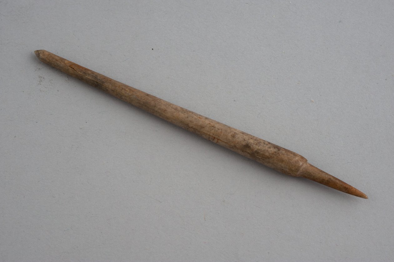 Penna (ben) av Roman