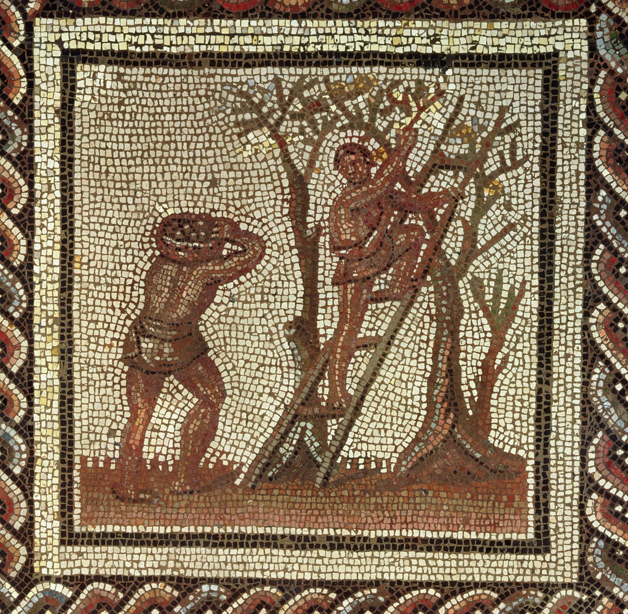 Plocka frukt, romersk mosaik från Saint-Romain-en-Gal, Frankrike, AD 200-225 av Roman