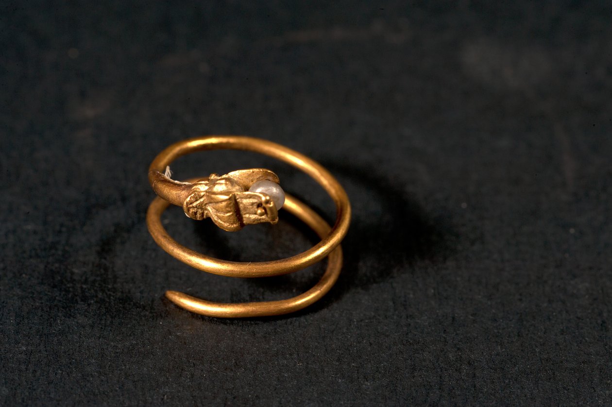 Ring med en pärla i från en orm (guld och pärla) av Roman