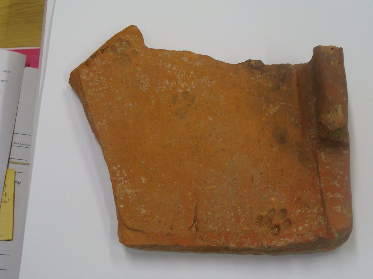 Romersk kakel med kattfotavtryck (lergods) av Roman