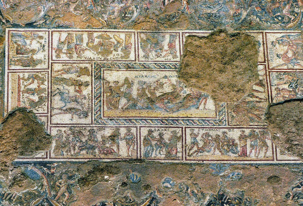 Sepphoris mosaik, Tzippori av Roman