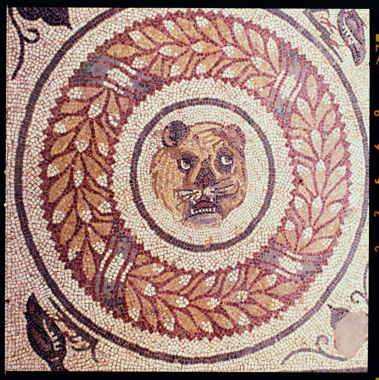 Tigerhuvud, romersk mosaik, tidigt 300-tal (mosaik) av Roman