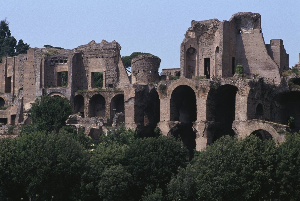 Utsikt över Palatinen från Circus Maximus (färgfoto) av Roman