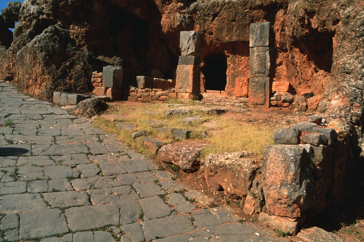 Vy över cardo och Mithras-templet av Roman