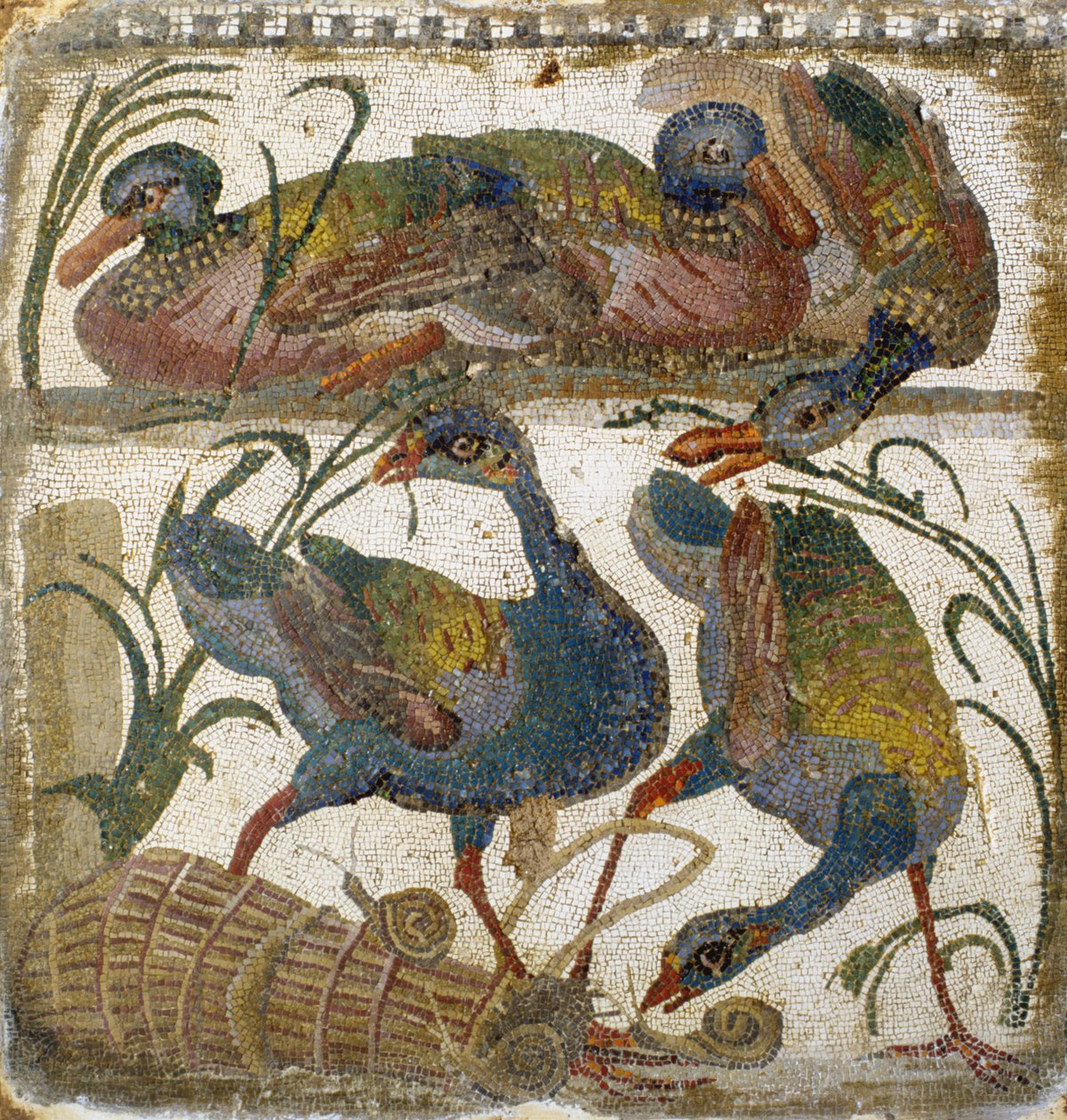 Vattenfåglar (mosaik) av Roman