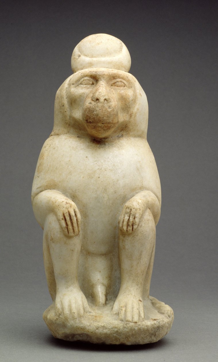 Guden Thoths babian (marmor) av Roman Period Egyptian