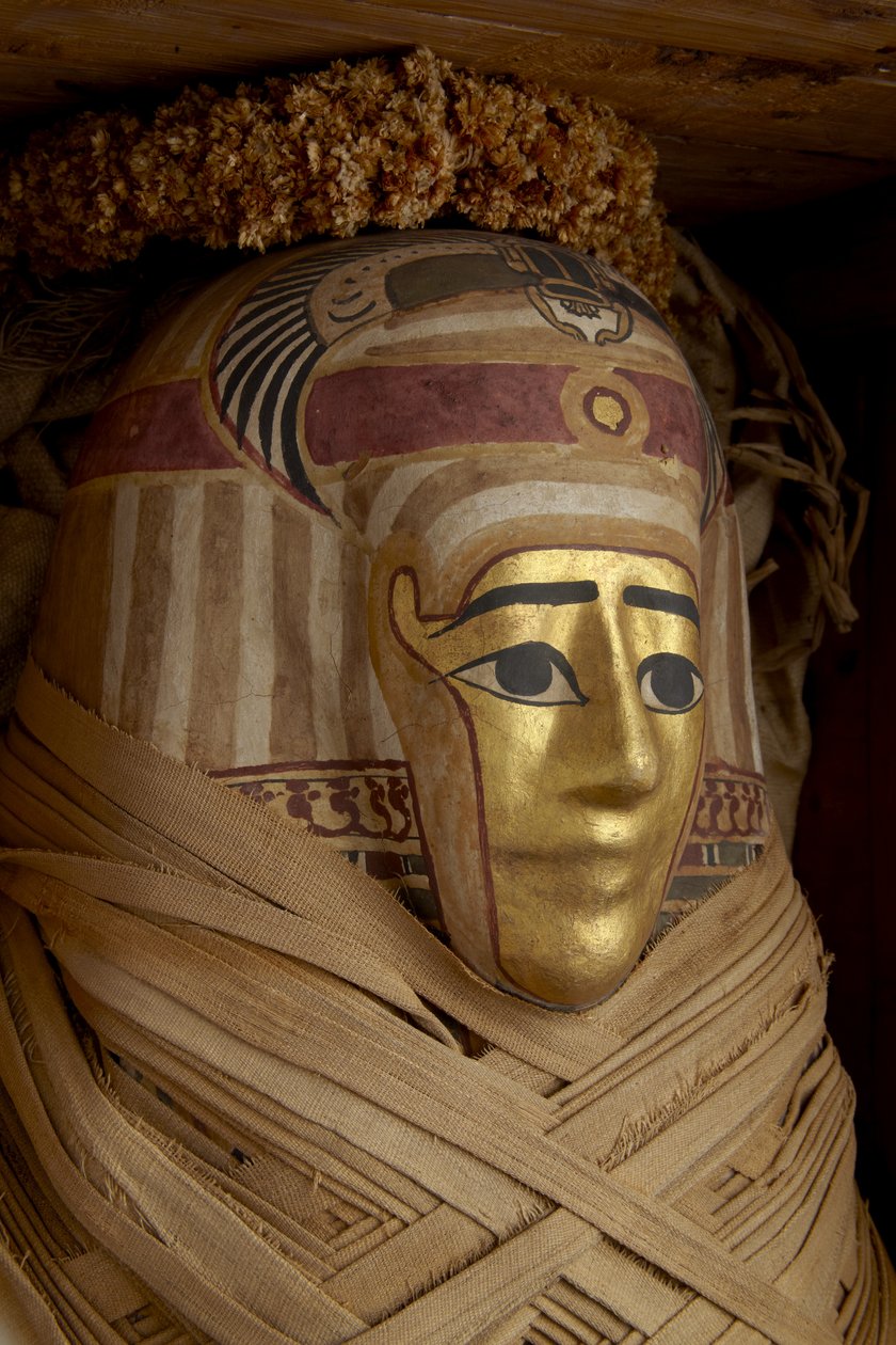 Ptolemaisk kista, mumie med förgylld mask och blomstergirlanger (cypressträ) av Roman Period Egyptian