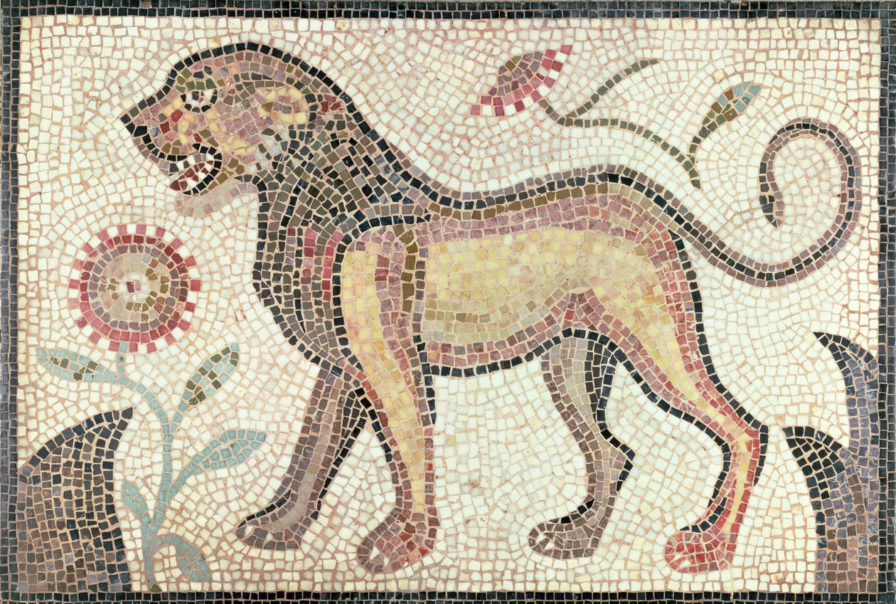 Lejon, från Tunis, troligen sent 500-tal e.Kr. (mosaik) av Roman Roman