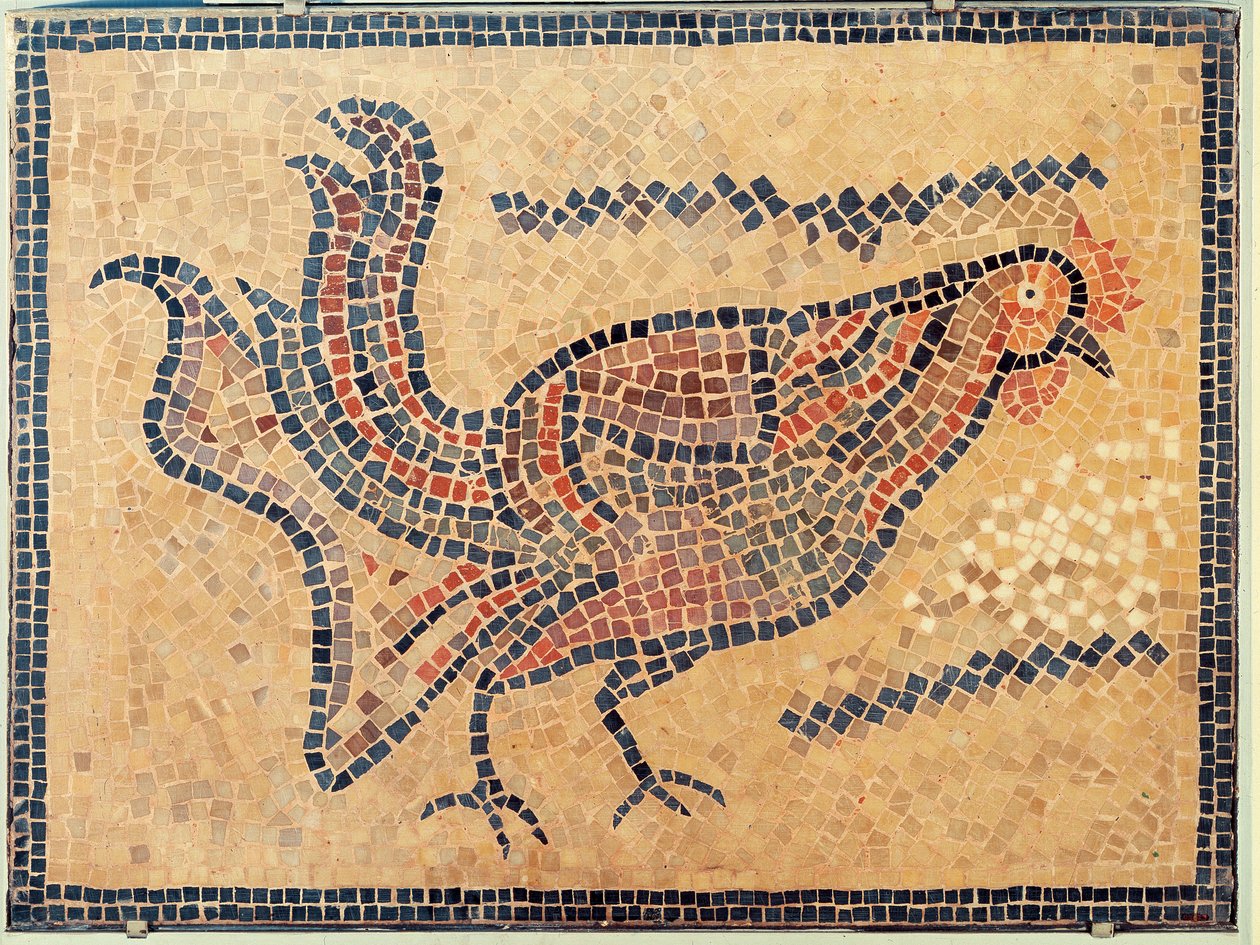 Tupp, från Tunis, troligen sent 500-talet e.Kr. (mosaik) av Roman Roman