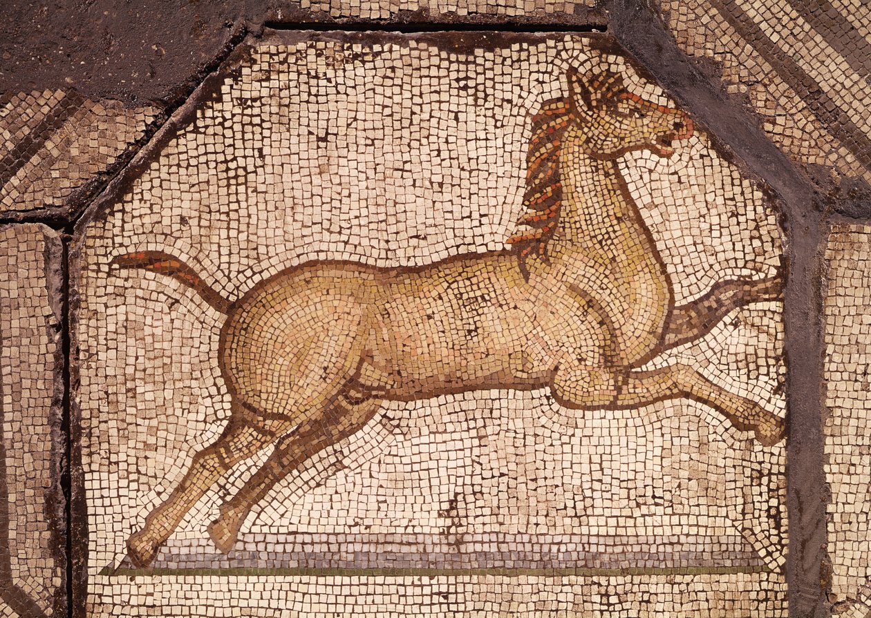 A Horse, detalj från Orpheus Charming the Animals (mosaik) av Roman