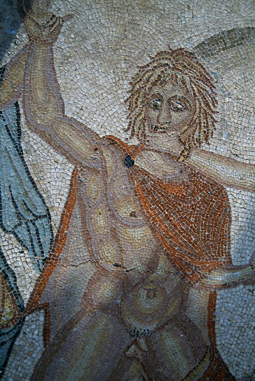 Bortförande av Hylas av nymfer, mosaik i House of Venus i den romerska staden Volubilis (UNESCOs världsarvslista av Roman